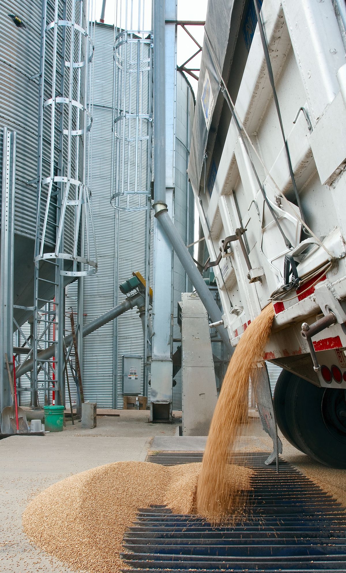 Agricultură și procesarea cerealelor